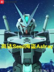 高达seed海盗Astray